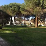 Enjoy