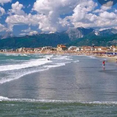 Διαμέρισμα Enjoy *