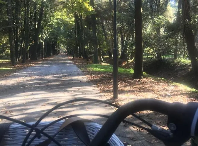 Apartament Enjoy Viareggio